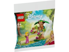 LEGO Disney 30671 Auroras skovlegeplads