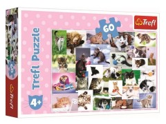 Trefl, puslespill, En verden af katte, 60 brikker