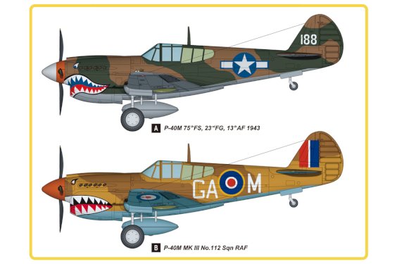 Hobby Boss, P-40M Kitty Hawk, 1:48